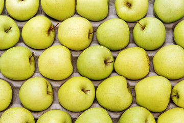 A lot of green apples in a cardboard box. Fruit trade at the store. Close-up