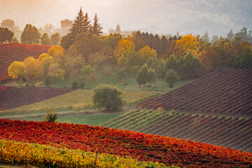 Autumn landscape, vineyards and hills at sunset. Modena, Italy