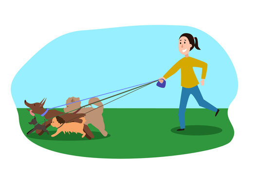 A Man Walking A Lot Of Dogs In The Park. Vector Illustration On A White Isolated Background.