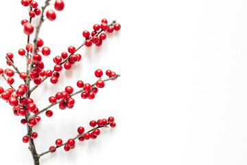 Minimal seasonal composition. Pattern of branch with red berries on isolated white background. Christmas holidays, winter concept. Copy space, flat lay, top view.