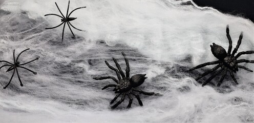 White fabric background, on it spiders, various species, panic and fear