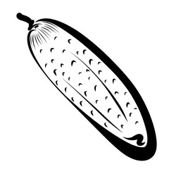 young small cucumber, black outline on a white background