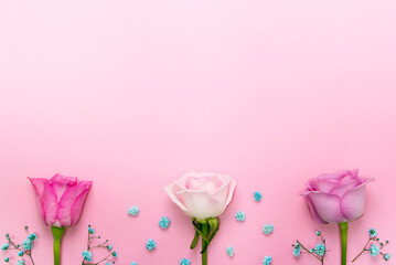 beautiful roses on the Romantic pink background 
