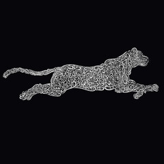 fast panther, pattern of white curls on a black background