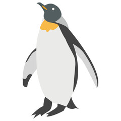 Penguin, a large flightless seabird with black upper part 