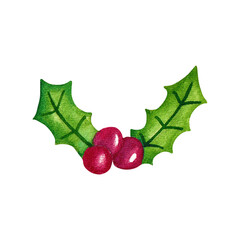 Holly plant. Green leaves with berries. Christmas symbol. Isolated hand painted watercolor illustration on white background
