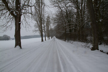 Obraz premium Road in the winter