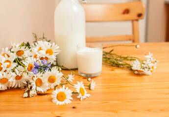 Simply stylish wooden kitchen with bottle of milk and glass on table, summer flowers camomile, healthy foog moring concept