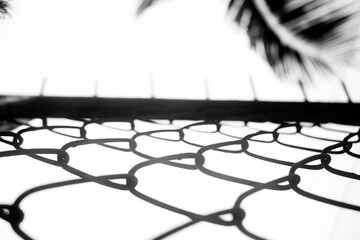 black and white photo