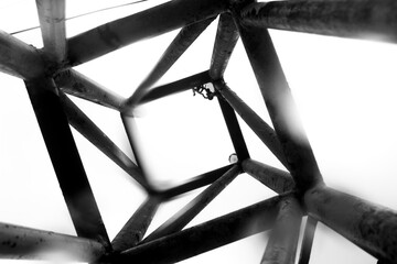 black and white photo