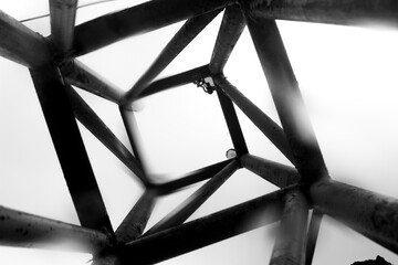 black and white photo