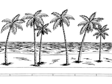 Sea street road graphic palm tree black white landscape sketch illustration vector