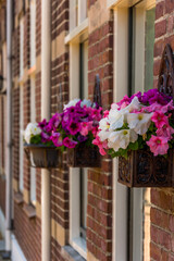 Decorative flowers hanged on the front of a house in Volendam, Netherlands