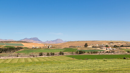 Fototapeta premium Green cultivated farmland with mountains in the background and a clear blue sky