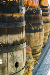 Old wooden barrels with fragments of pumpkins and straw