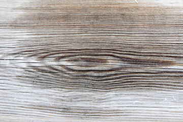 Fototapeta premium texture background for design and decoration 