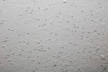 texture background for design and decoration
