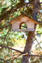 Empty bird feeder on tree near forest. Blurred background. Feeding birds. Helping animals.