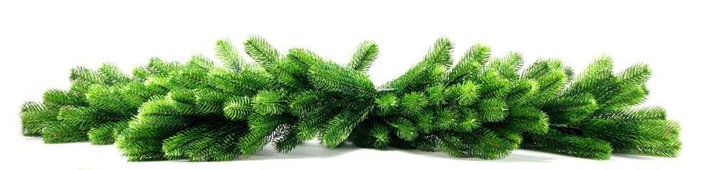 Natural fir Christmas tree branches