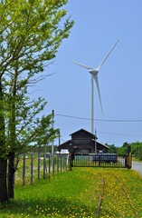 Fototapeta premium 初夏の酒田・風車のある風景