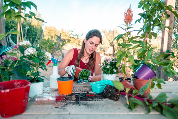 Happy latin young woman transplanting plants and flowers