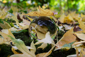 lensball autumn