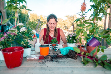 Happy latin young woman transplanting plants and flowers