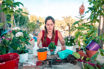 Happy latin young woman transplanting plants and flowers