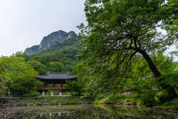 Fototapeta na wymiar Baegyangsa Temple, located at the foot of Baegyangsan Mountain of Honam Mountains, is the origin of the Honam Buddhism created by Monk Yeohwan in the 33rd year of King Mu of the Baekje Kingdom.