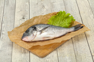 Raw Dorada fish  for cooking