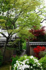 大徳寺大慈院の中庭