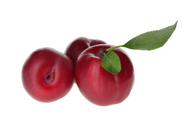 Delicious ripe plums with leaves isolated on white