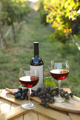 Composition with wine and ripe grapes on wooden table in vineyard