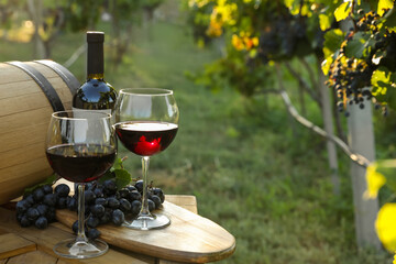 Composition with wine and ripe grapes on wooden table in vineyard