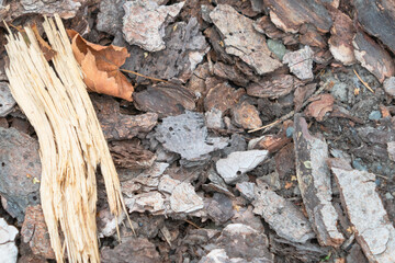 Bark mulch