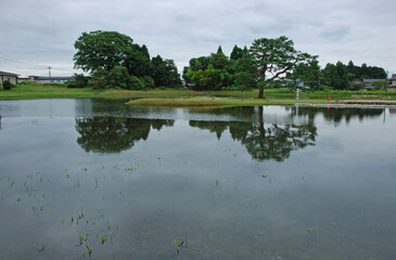 岩手県　平泉・無量光院跡