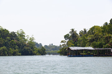 A wooden thatched house stands on stilts in the middle of a river in a tropical forest.