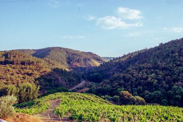 paisagem montanha