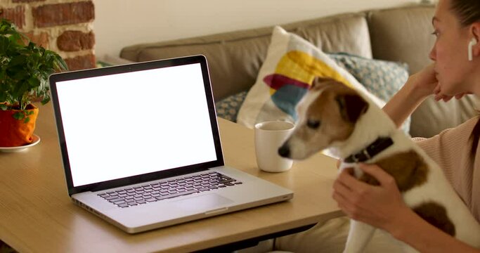 Woman hugging little dog and browsing laptop while watching at blank screen on remote project in home office