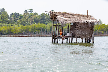 Fototapeta na wymiar A wooden thatched house stands on stilts in the middle of a river in a tropical forest.