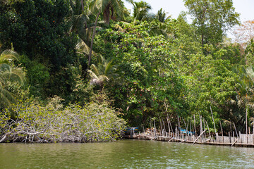 Fototapeta na wymiar Shrimp farm above water in the jungle in the rainforest.