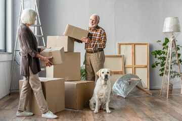 full length view of senior couple holding cardboard boxes in new house while dog sitting near