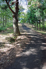 岩手県　平泉・金鶏山登山道