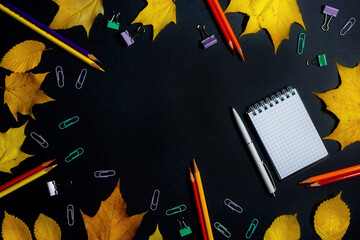 back to school theme with autumn leaves and stationery