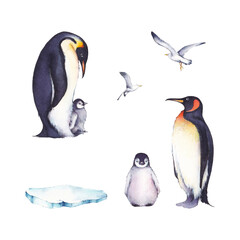Set of watercolor illustrations: a family of penguins, gulls and ice floes. It's perfect for winter design