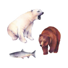 Obraz premium Set of watercolor illustrations: brown bear, polar bear and fish isolated on a white background