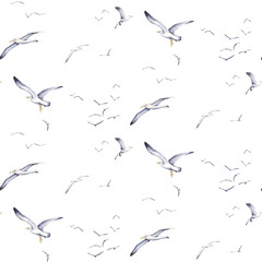 Marine seamless pattern with illustrations of gulls on a white background. Watercolor illustration