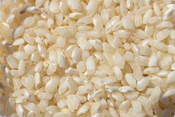 Granos de arroz para paella