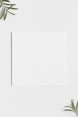 Square invitation card mockup with a rosemary.