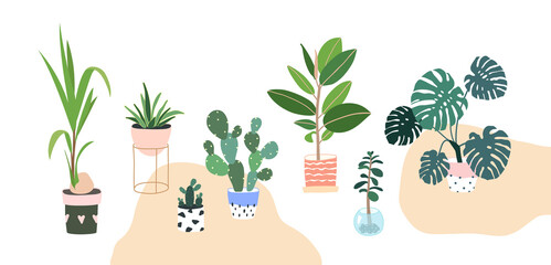 Home plants in flowerpot. Houseplants isolated. Set collection. Trendy hugge style, urban jungle decor. Hand drawn. Green, blue, pink, brown, beige, white colors. Print, poster, banner. Logo, label.